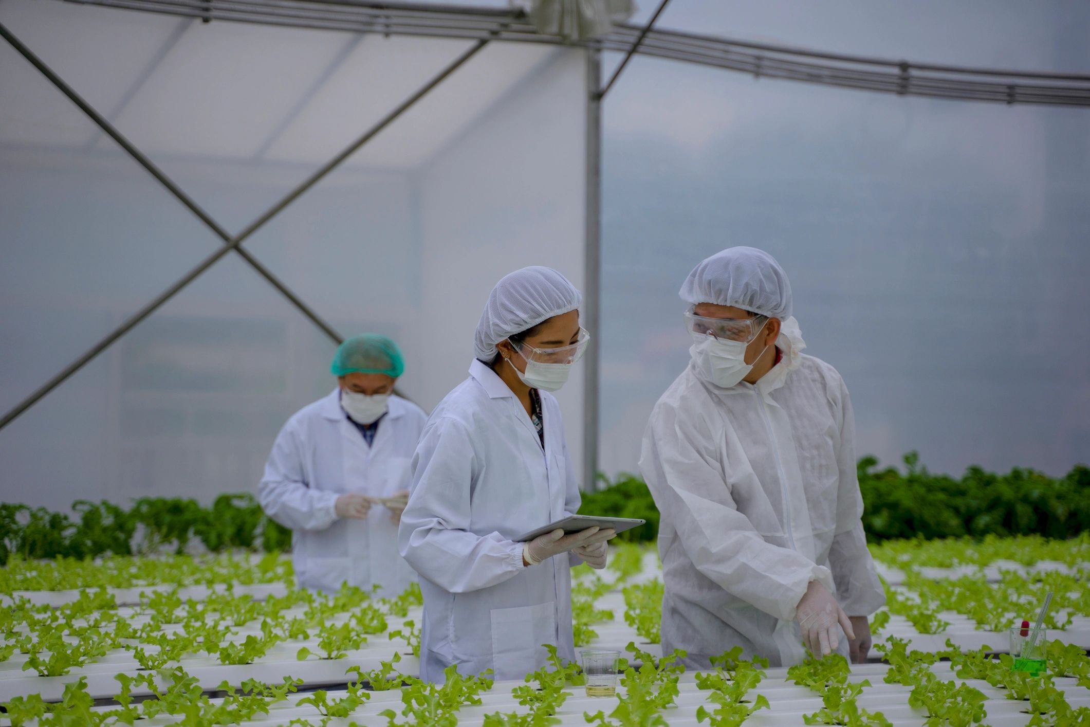 Agricultural trade team working in a modern farming environment