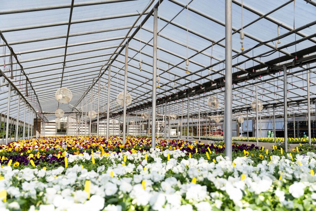 Understanding Global Markets for Agricultural Products